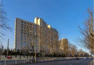 o型衬氟球阀商家